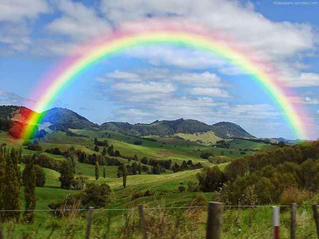 Allah Hadir Membawa Pembebasan